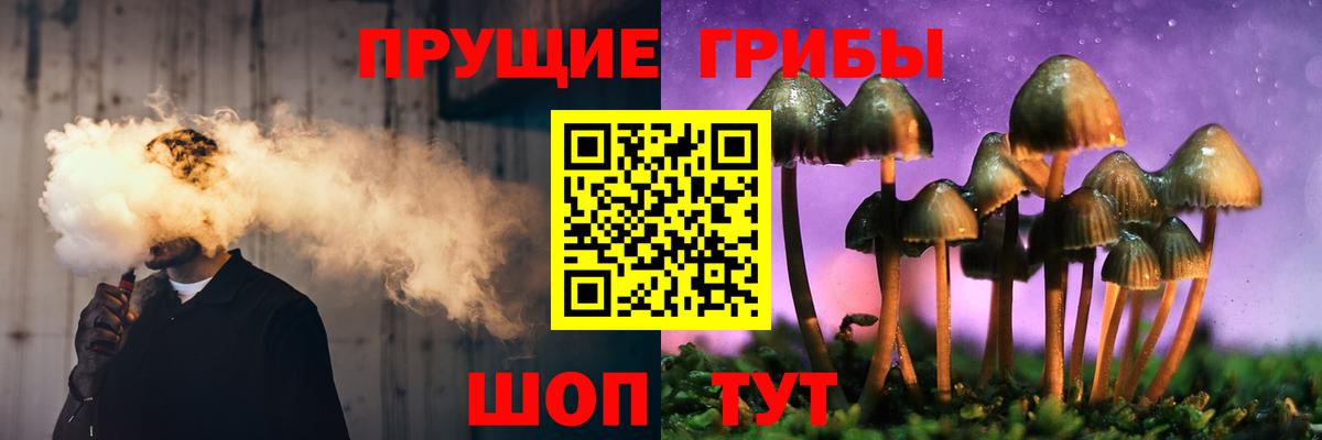 Галлюциногенные грибы Magic Shrooms  Вход с VPN  Дюртюли 